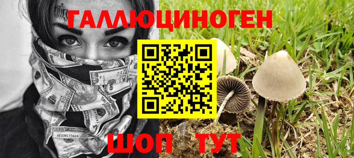продажа наркотиков  Вход с VPN  Омск  Галлюциногенные грибы мухоморы 